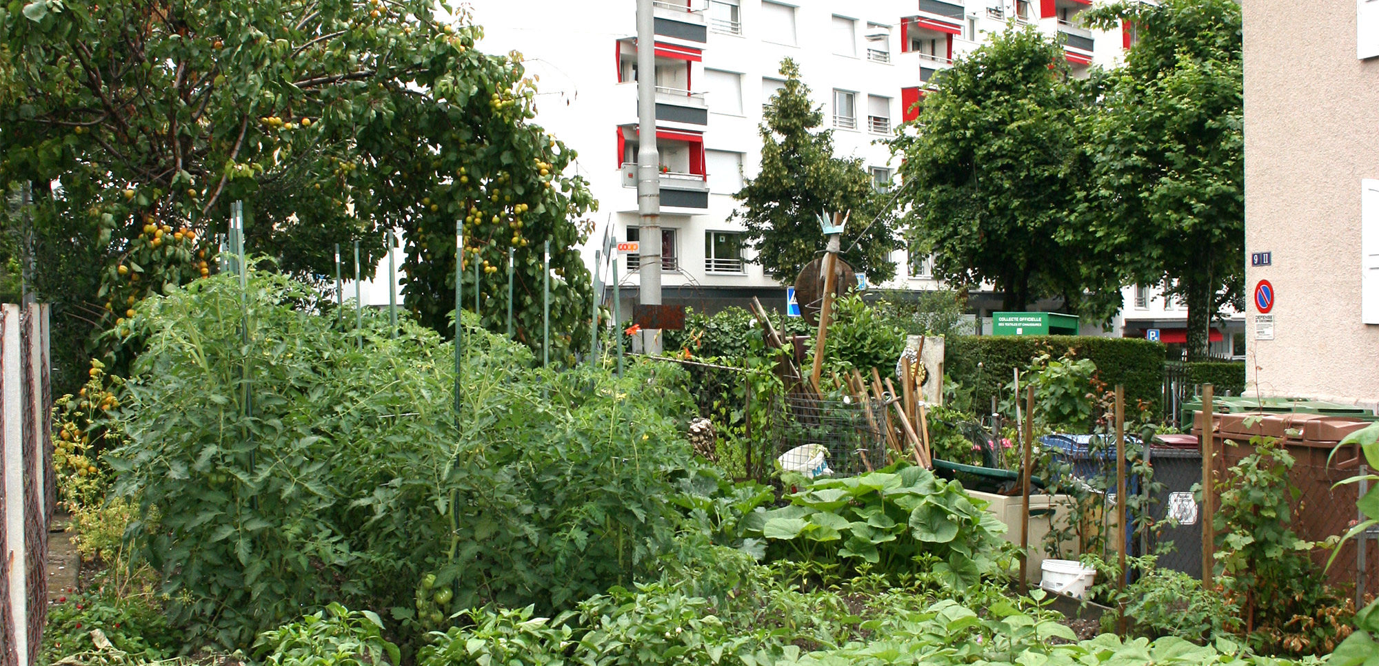 Urbane Landwirtschaft: das FUI-Projekt - Agrarforschung Schweiz