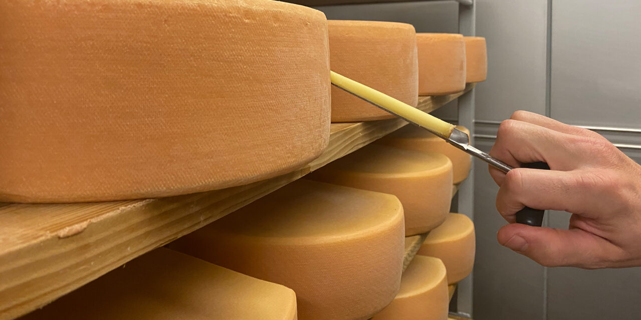 Swiss Cheeses Are an Important Dietary Source of Vitamin K2
