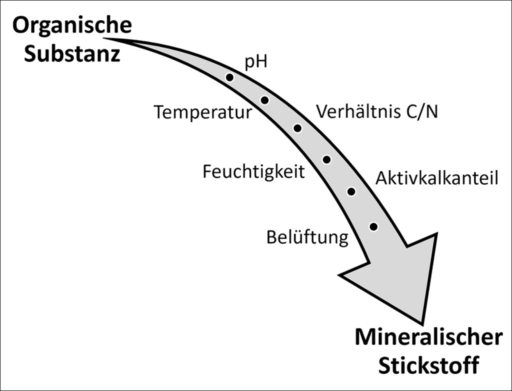 Einflussfaktoren der Mineralisierung von organischem Stickstoff.