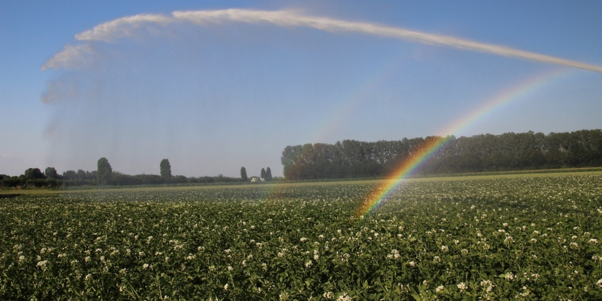 Wieviel Wasser braucht die Schweizer Landwirtschaft zur Bewässerung?