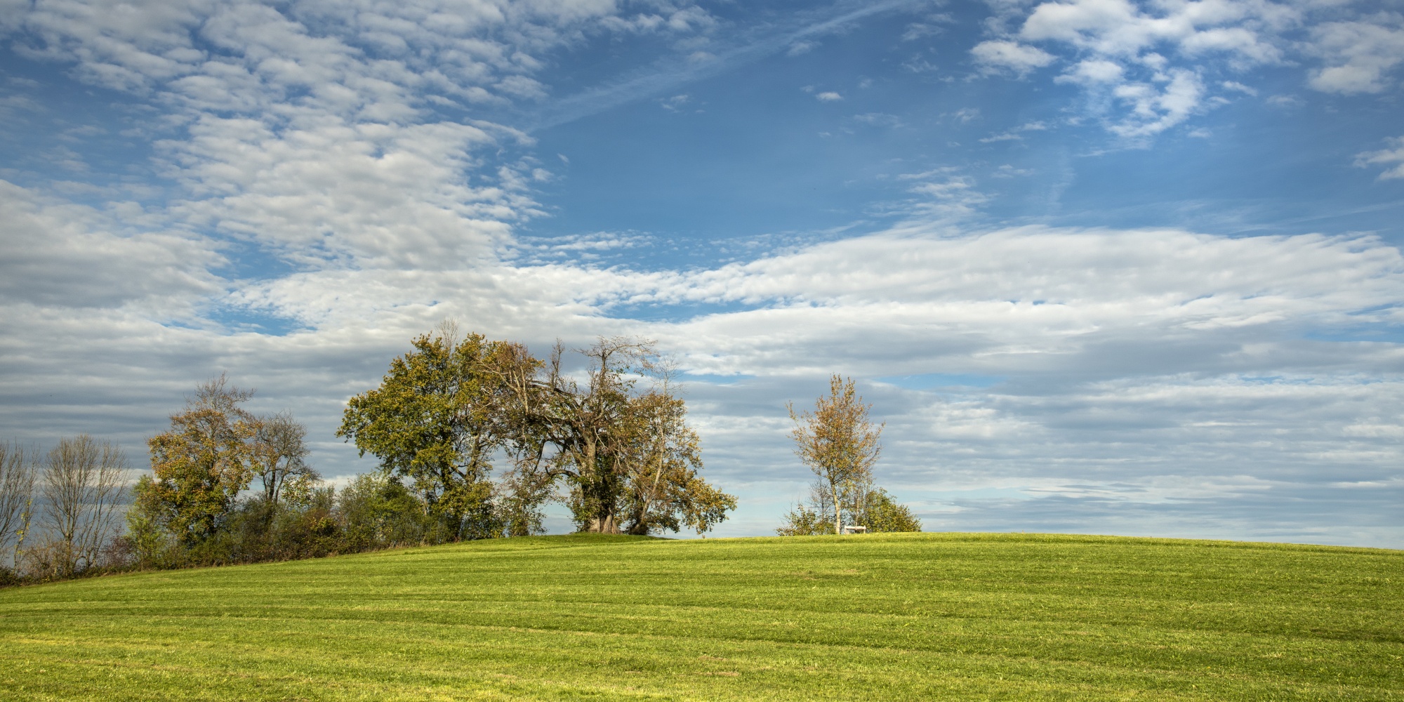 Treibhausgas-Bilanzen in der Landwirtschaft: Erfahrungen aus der angewandten Forschung