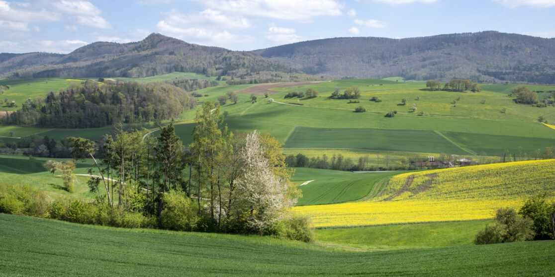 Standortangepasste Landwirtschaft: Wo Ackerbau nachhaltig möglich ist