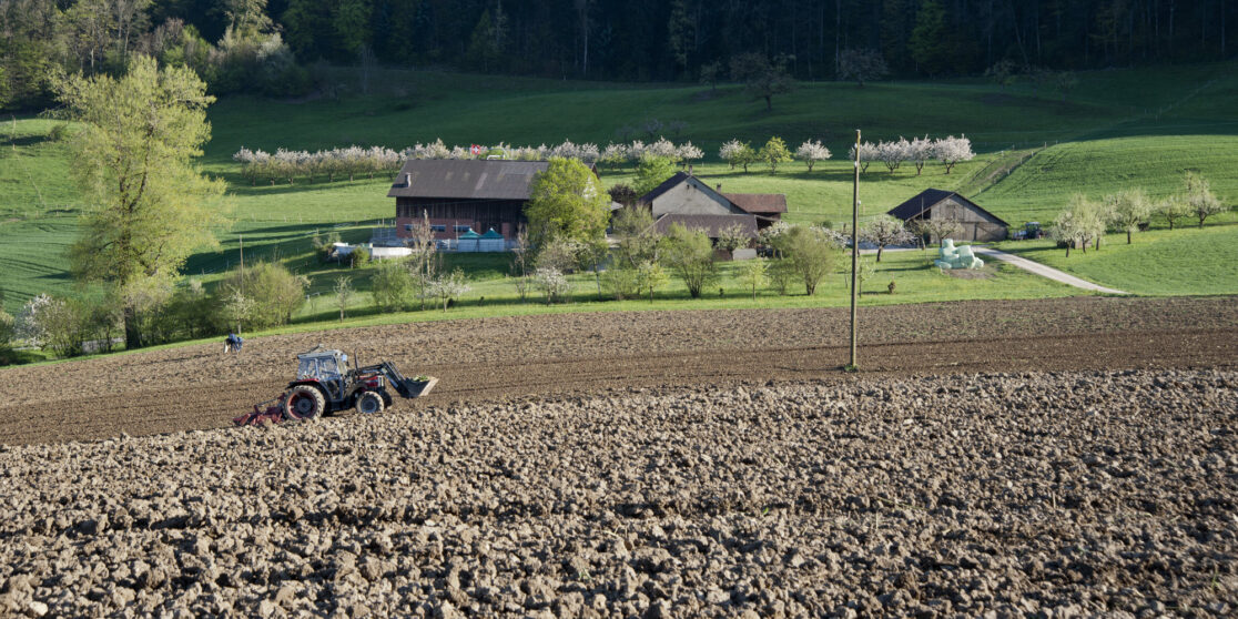 Arbeitsbelastung auf Landwirtschaftsbetrieben aussagekräftiger erfassen als mit einfachen Berechnungen