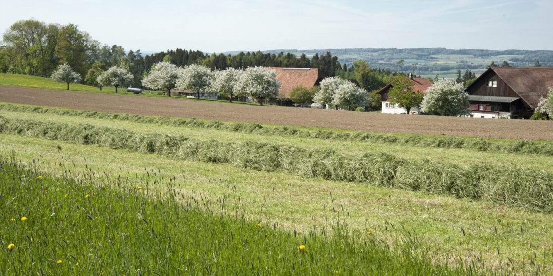 Wieviel kostet die Minderung von Treibhausgasen in der Landwirtschaft?